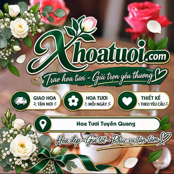 Shop Hoa Tươi Tuyên Quang - Giao Hoa Nhanh Chóng