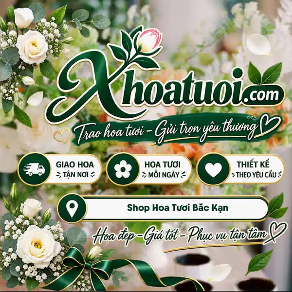 Shop Hoa Tươi Bắc Kạn, Thái Nguyên | Đặt Hoa Online 247