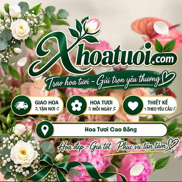 Shop Hoa Tươi Cao Bằng | Đặt Hoa Giao Tận Nơi