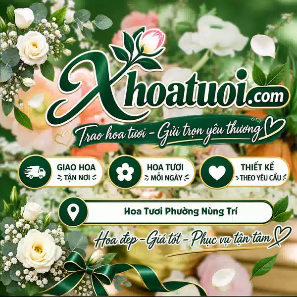 Shop Hoa Tươi Phường Nùng Trí Cao, Cao Bằng | Đặt Hoa Online 247