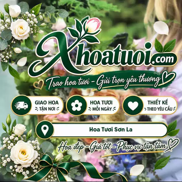 Shop Hoa Tươi Sơn La | Giao Hoa Theo Yêu Cầu