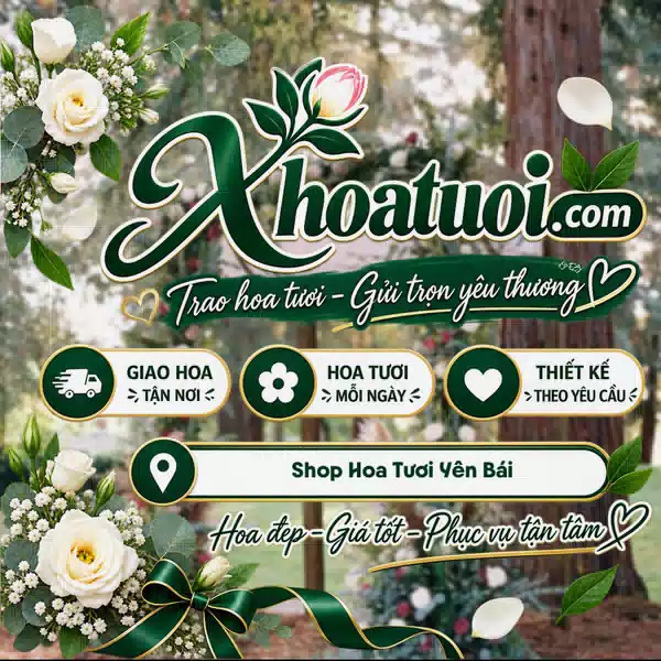 Shop Hoa Tươi Yên Bái - Đặt Hoa Giao Tận Nơi